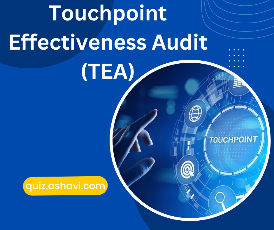 Touchpoint Effectiveness Audit (TEA)
